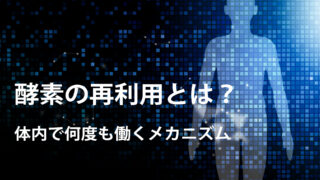 16e0d78e818da2219d307c00367c2626 投稿 酵素のちから