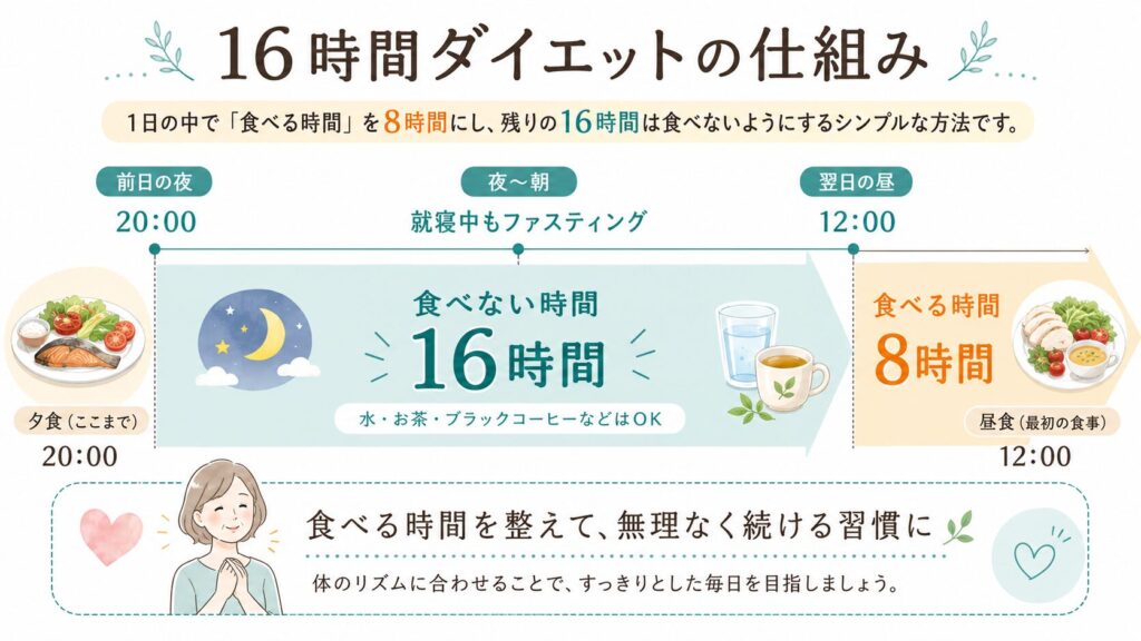 「頑張っても痩せない…」50代女性のための16時間ダイエット|無理なく続くファスティング習慣と成功のコツ 3 酵素のちから 16時間ダイエットの仕組み