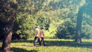 kenko kouso 投稿 酵素のちから