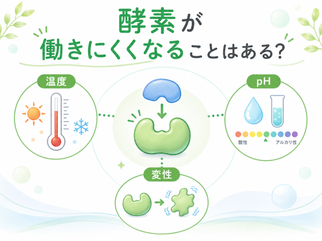 温度やpHの変化によって酵素が働きにくくなる仕組みを示す図