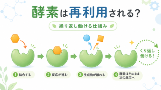 kouso recycle 投稿 酵素のちから