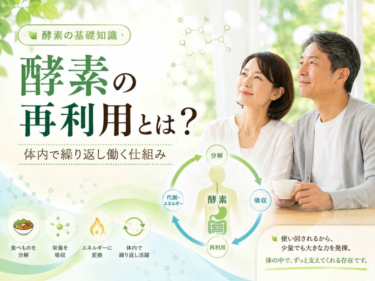 酵素の再利用の仕組みとは