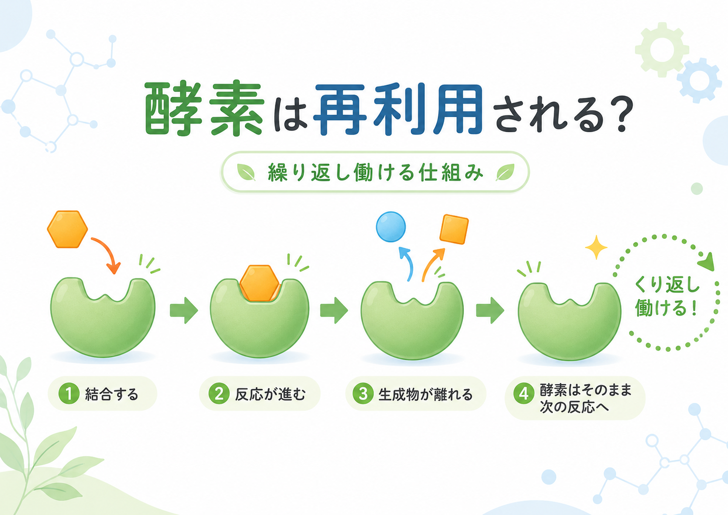 酵素が反応後も繰り返し働ける仕組みを示す図