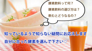 top 1 投稿 酵素のちから