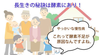 top 2 投稿 酵素のちから