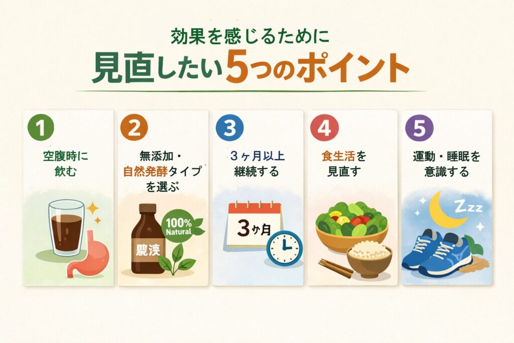 中高年の酵素ドリンクは効果なし?実感できない理由と“見直し方”をやさしく解説 4 酵素のちから 酵素ドリンクの効果を感じるために見直したいポイントの図