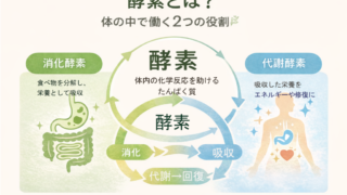 kouso 投稿 酵素のちから