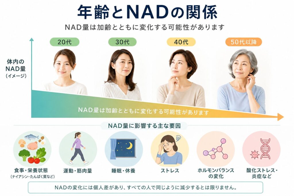 年齢とNADの関係を示す図