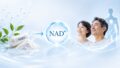 NMNと補酵素の関係とは?NAD+とのつながりをわかりやすく解説 19 酵素のちから NADtoha nani 投稿 酵素のちから