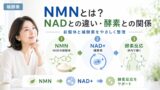 NMN 2 投稿 酵素のちから