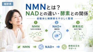 NMN 2 投稿 酵素のちから