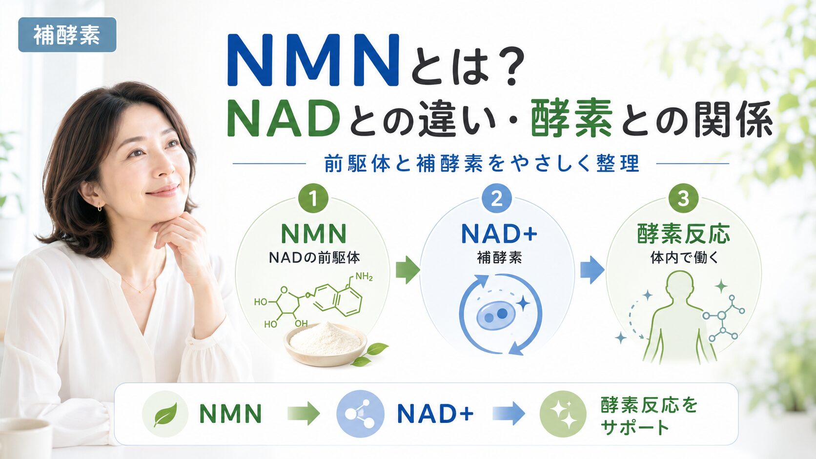 NMNとNADの違いと酵素との関係を示す図