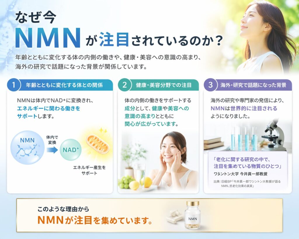 NMN注目