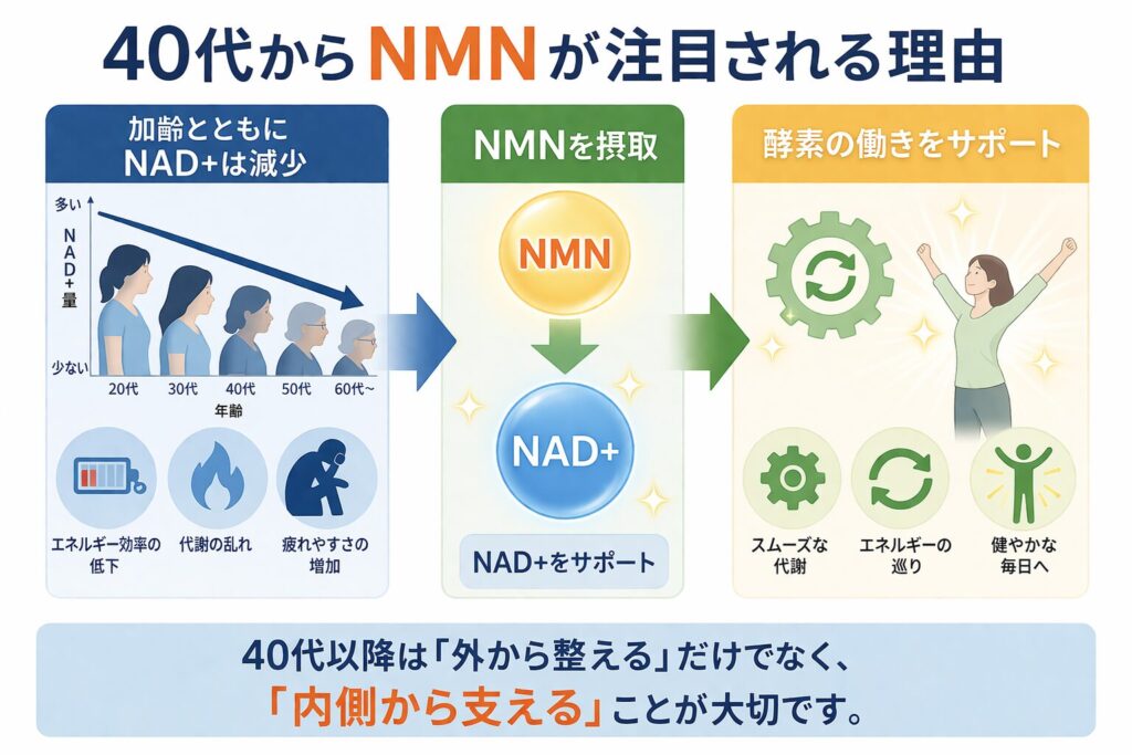 NMN注目される理由