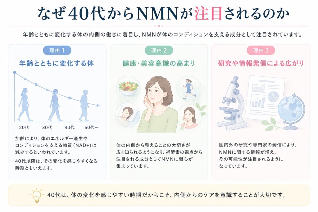 何故、NMNが40代から注目されているか？