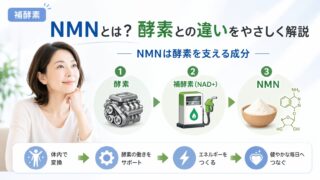 NMN kouso chigai 1 投稿 酵素のちから