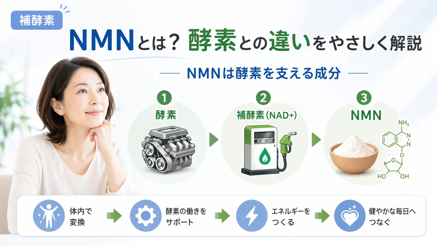 NMNと酵素の違い