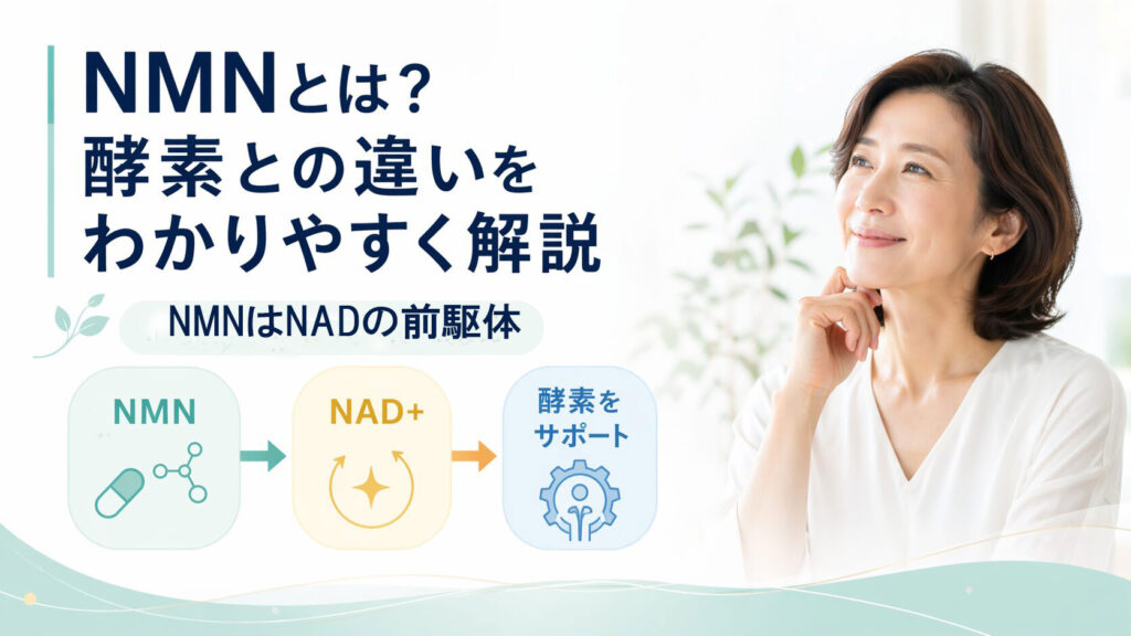 NMNがNADの前駆体として酵素反応に関わる流れを示す図