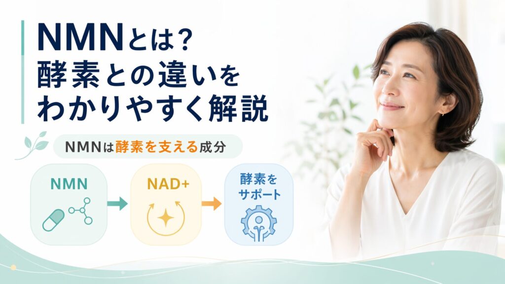 NMNとは?酵素との違いをわかりやすく解説|体内での役割も紹介 2 酵素のちから NMNは酵素を支える成分