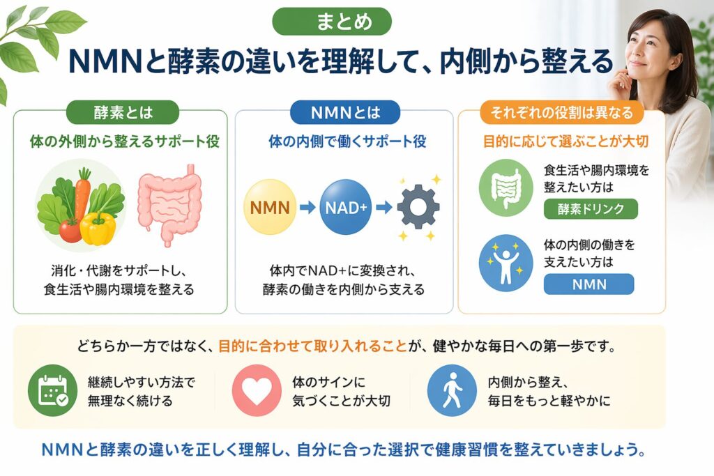 NMNとは?酵素との違いをわかりやすく解説|体内での役割も紹介 11 酵素のちから NMNと酵素の違い