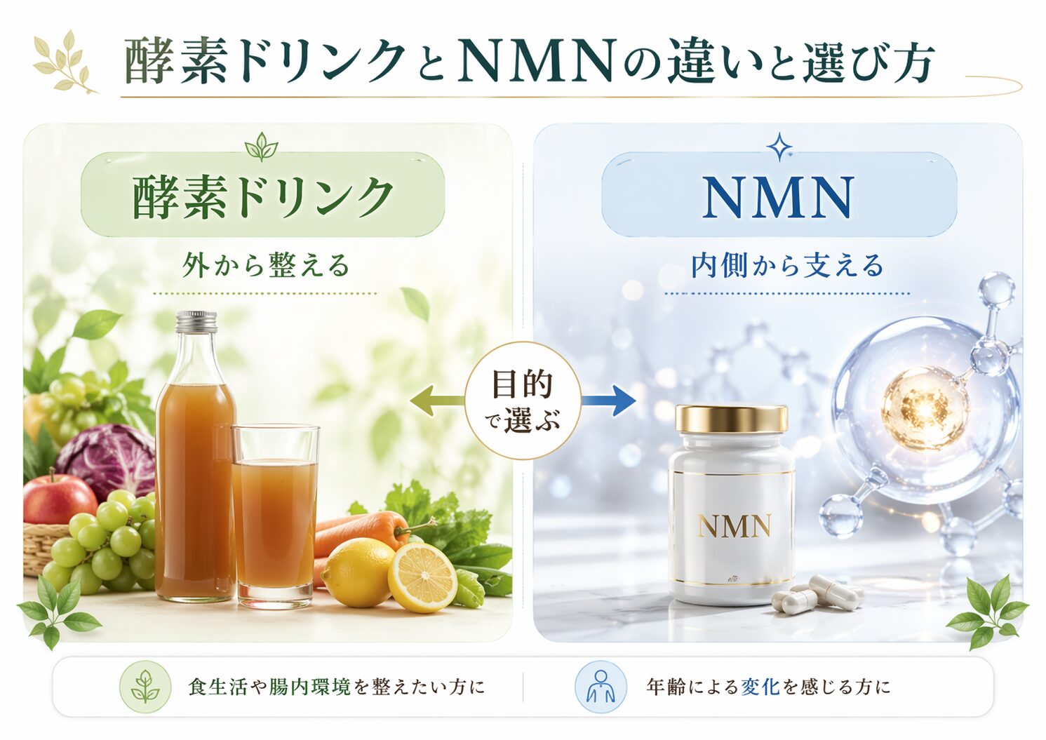 NMNとは?酵素との違いをわかりやすく解説|体内での役割も紹介 4 酵素のちから NMNと酵素ドリンクの違いとあ選び方
