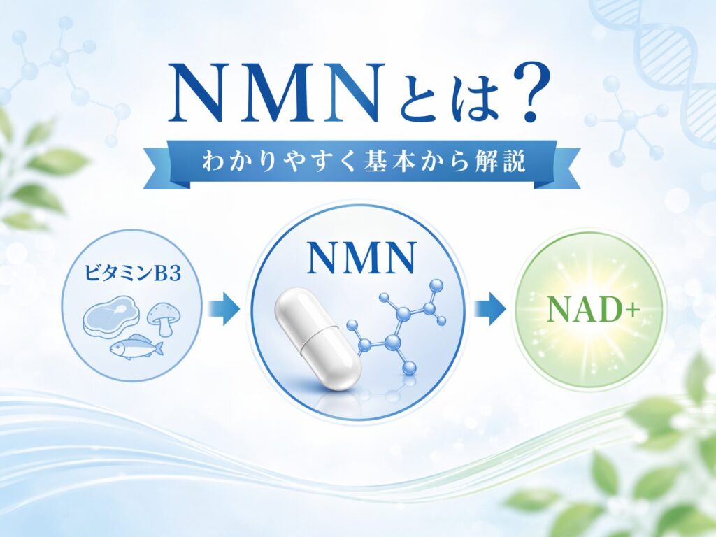 NMNとは?期待される働きをわかりやすく解説|初心者向けに基本から紹介 2 酵素のちから NMNをわかりやすく解説