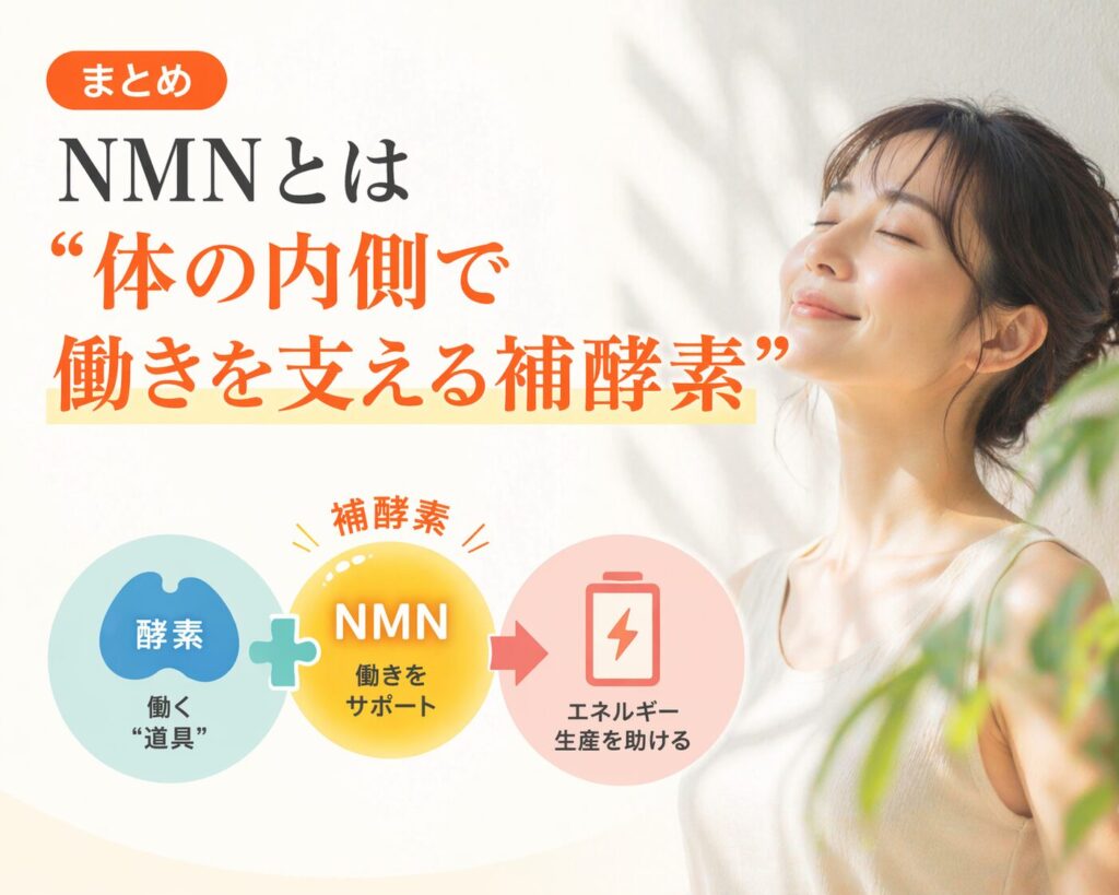 NMNは体の内側で働きを支える補酵素