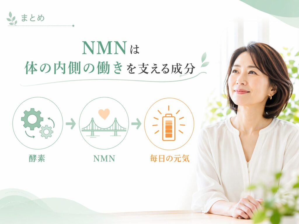 NMNとは?期待される働きをわかりやすく解説|初心者向けに基本から紹介 12 酵素のちから NMNとは“体の内側で働きを支える補酵素”
