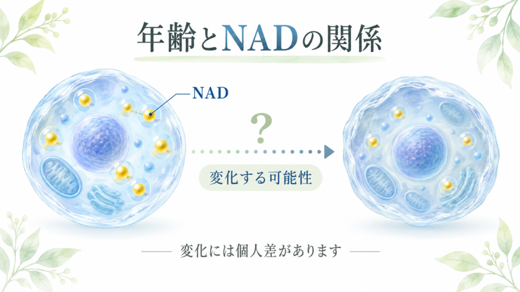 加齢に伴うNAD量の変化には個人差があることを示す図