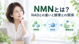 nmn nad kouso kankei 投稿 酵素のちから