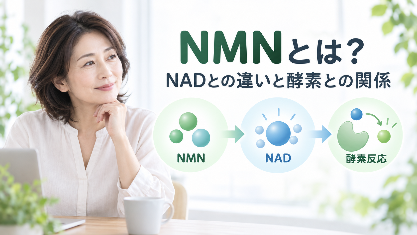 NMNとNADの違いや酵素との関係を示すイメージ