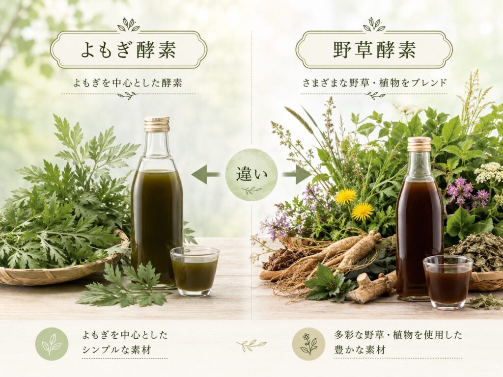 よもぎ酵素と野草酵素の違い
