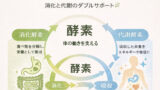 kouso3 1 投稿 酵素のちから