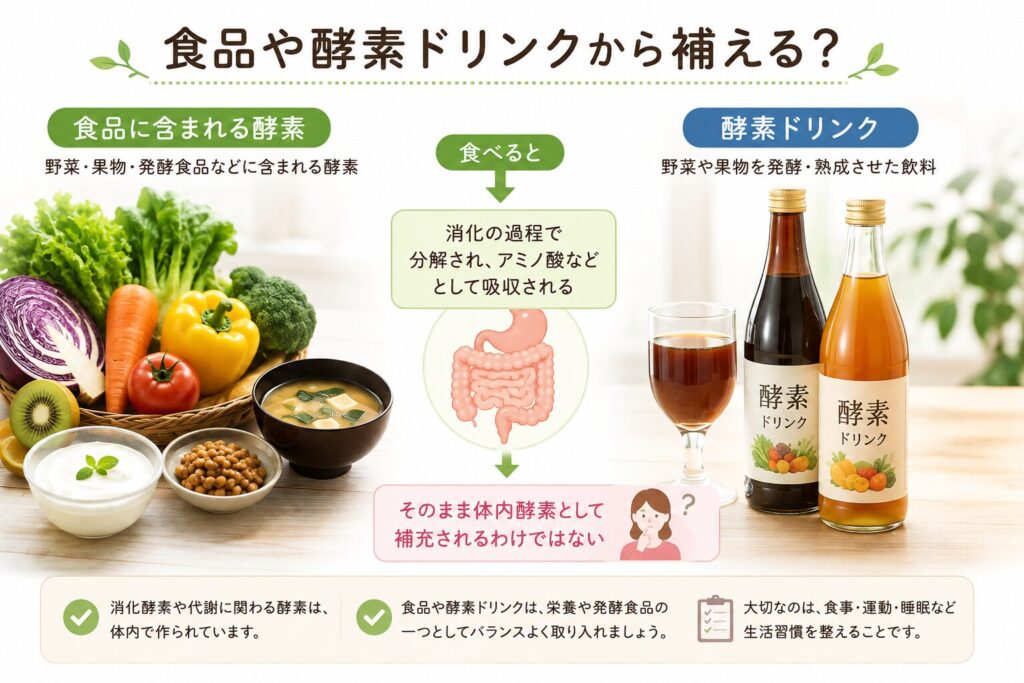 食品や酵素ドリンクの酵素がそのまま体内酵素になるわけではないことを示す図