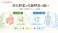 shoukakouso taisyakouso 1 投稿 酵素のちから