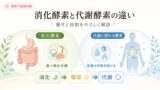 shoukakouso taisyakouso 1 投稿 酵素のちから