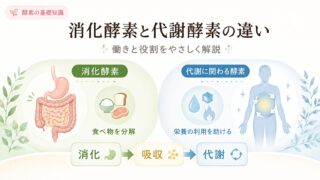shoukakouso taisyakouso 1 投稿 酵素のちから