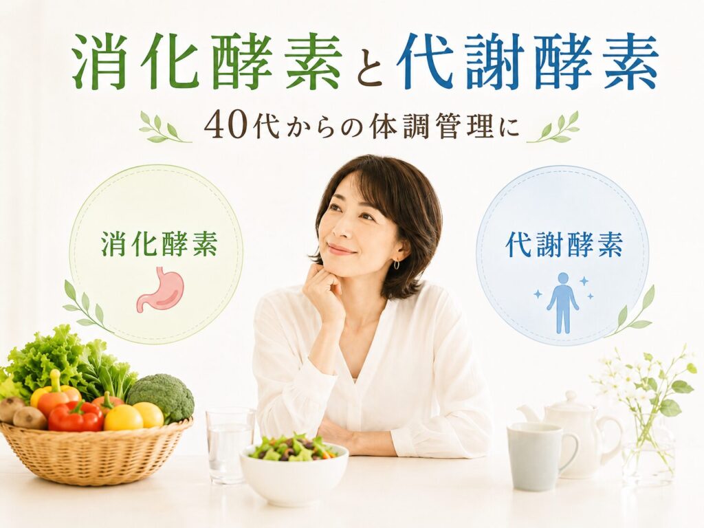 消化酵素と代謝酵素の違いとは?40代から知っておきたい酵素の基本 13 酵素のちから 消化酵素と代謝酵素