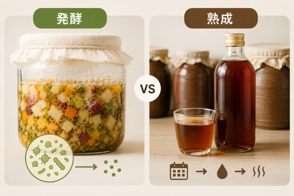 酵素ドリンクはどうやって作られる?発酵・熟成から完成までの流れをわかりやすく解説 5 酵素のちから 発酵と熟成の違いを示す図