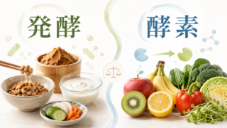 hakkou kouso 投稿 酵素のちから