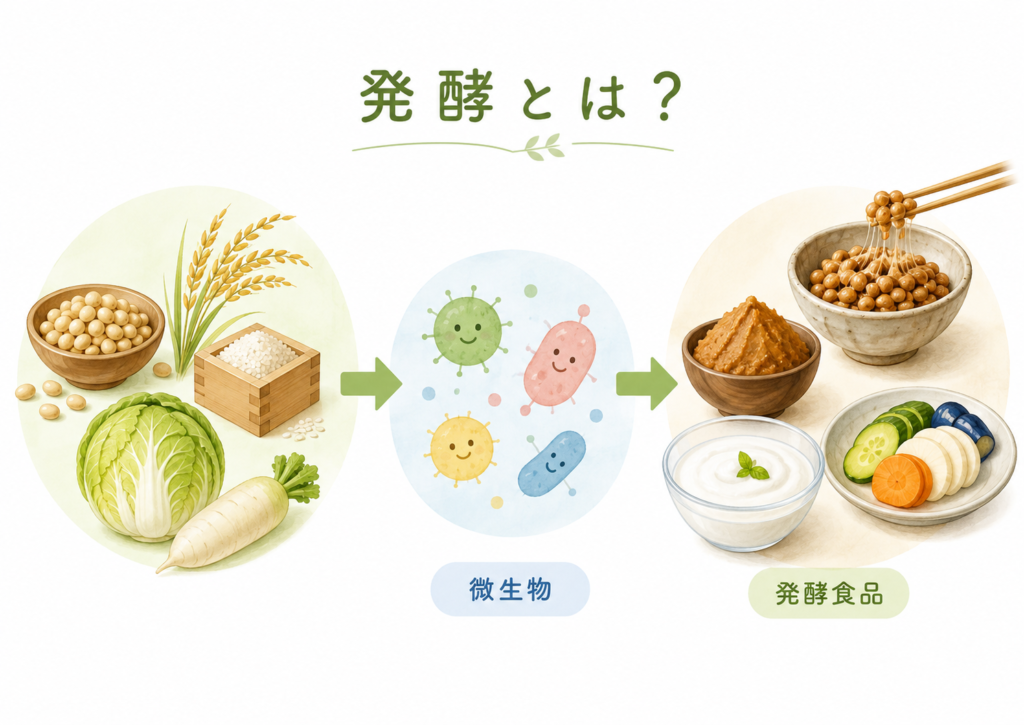 発酵のしくみを示す図