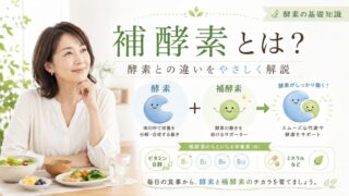 hokouso 投稿 酵素のちから