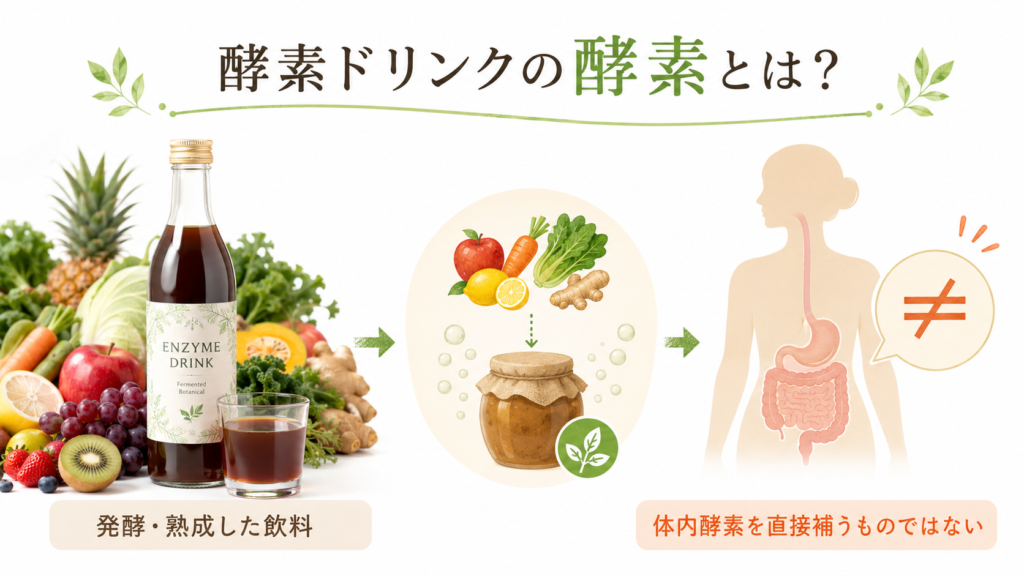 酵素ドリンクが体内酵素を直接補うものではないことを示す図