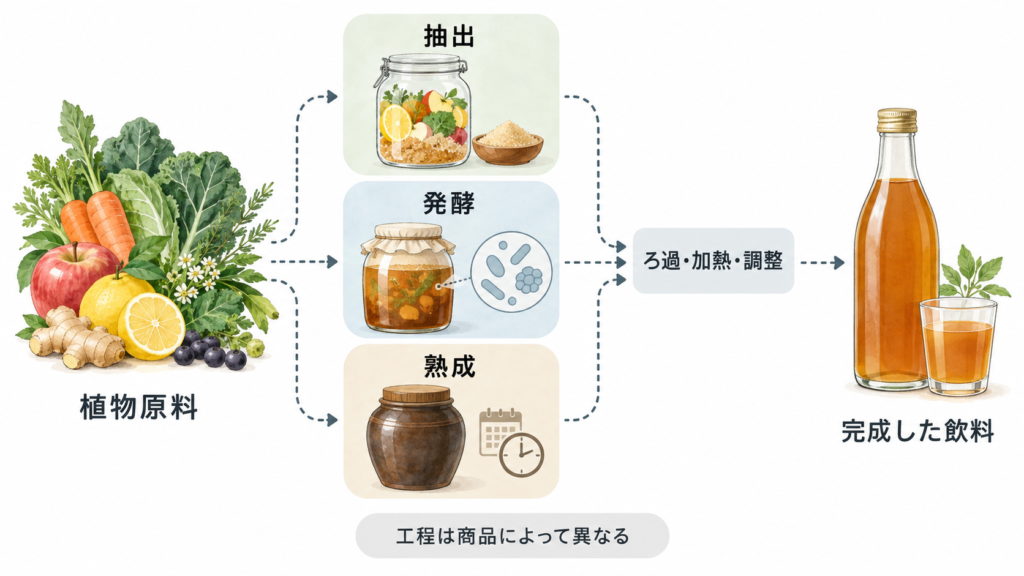 植物原料を抽出・発酵・熟成など商品ごとに異なる工程で加工し、飲料に仕上げるイメージ