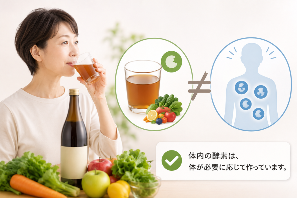 酵素ドリンクに含まれる「酵素」とは?体内酵素との違いをわかりやすく解説 7 酵素のちから 酵素ドリンクを飲んでも体内酵素がそのまま補われるわけではないことを示すイメージ