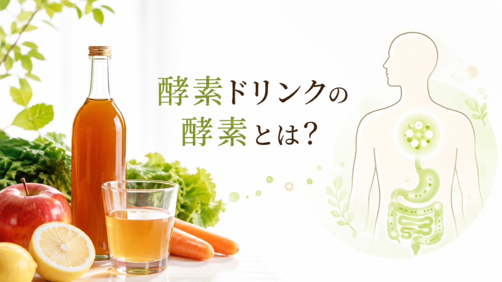 酵素ドリンクに含まれる「酵素」とは?体内酵素との違いをわかりやすく解説 2 酵素のちから 酵素ドリンクと体内で働く酵素の違いを示すイメージ