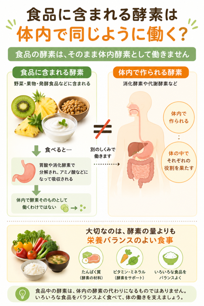 食品に含まれる酵素と体内で作られる酵素の違いを示す図