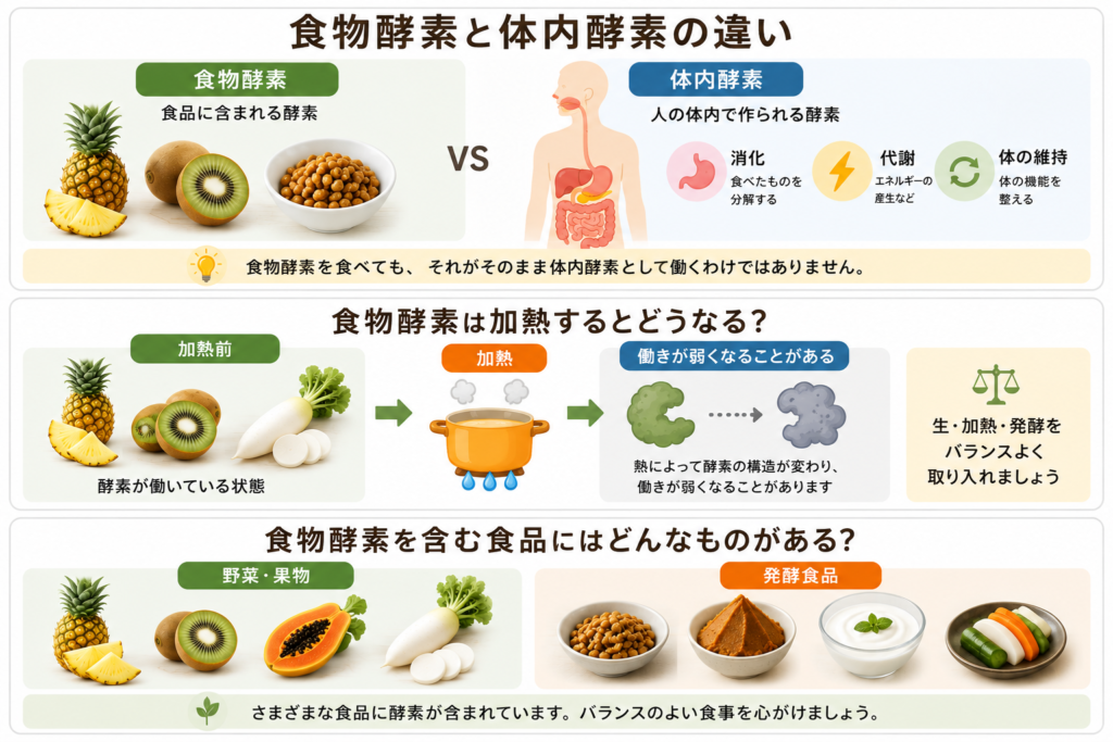 食物酵素と体内酵素の違い・加熱による変化・含まれる食品をまとめた図
