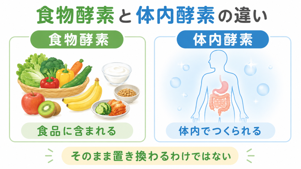 食物酵素と体内酵素の違いを示す図