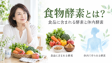 shokumotukouso 投稿 酵素のちから